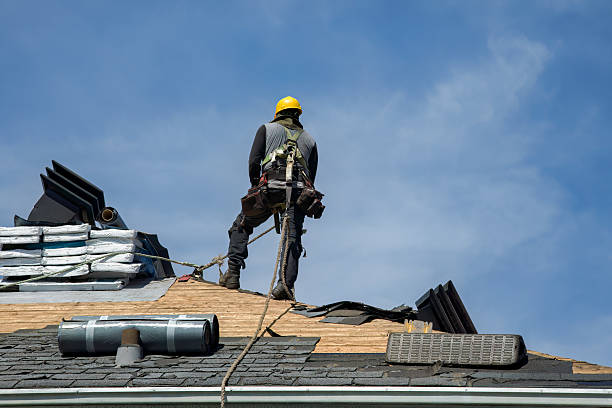 Professional Roof Repair technician working in Dundee, OR